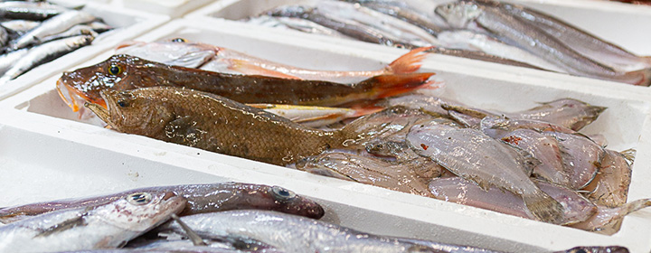 Pescado de Pescados y mariscos Mari