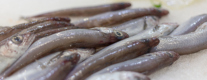 Pescados de Pescados y Marisco Pepe Heras